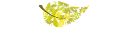 The Beaded Bub