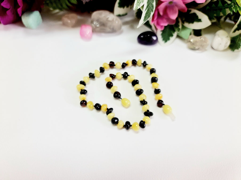Large Round Butterscotch and Cherry Amber Necklace
