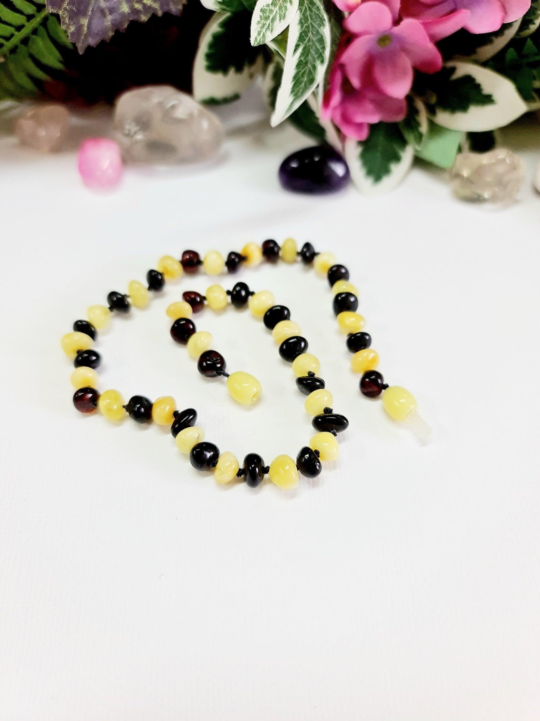 Large Round Butterscotch and Cherry Amber Necklace