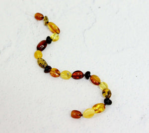 Large Rainbow Adult Amber Bracelet/ Anklet